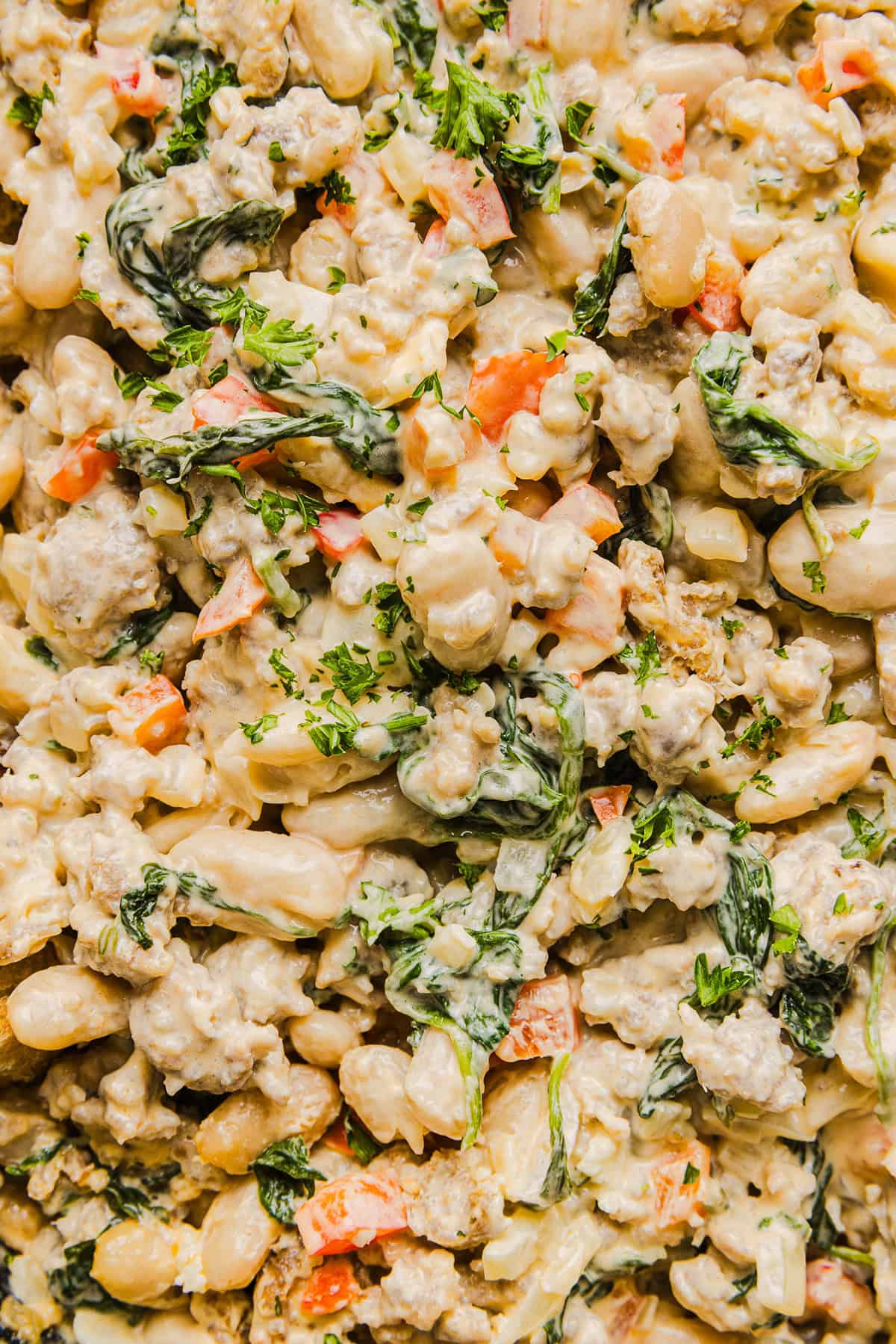 This Cheesy Sausage Bean Dip is the ultimate party appetizer! Made with flavorful spicy sausage, sautéed onions, bell peppers, garlic and spinach, along with cream cheese and white beans. Topped with freshly grated parmesan cheese and served with toasted bread or Frito corn chips!